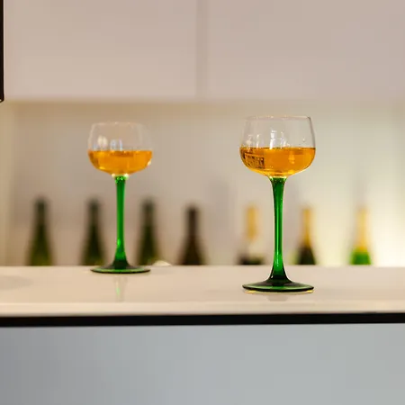 Western Salvator Centre Hotel Mülhausen