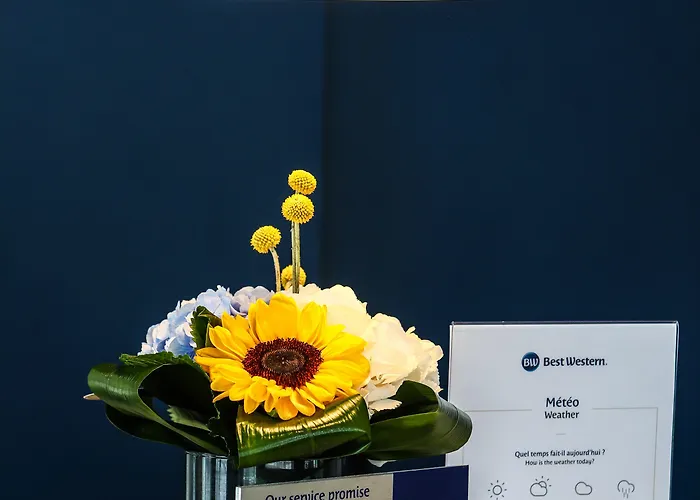 Hotel Western Salvator Centre