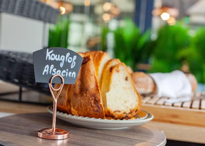 Western Salvator Centre Mulhouse